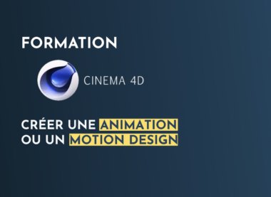 formation C4D intra