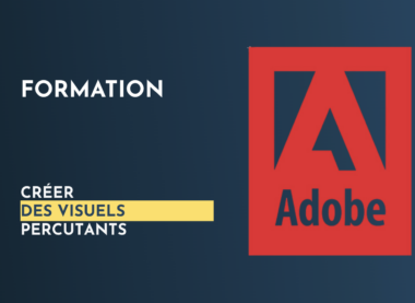 formation adobe intra
